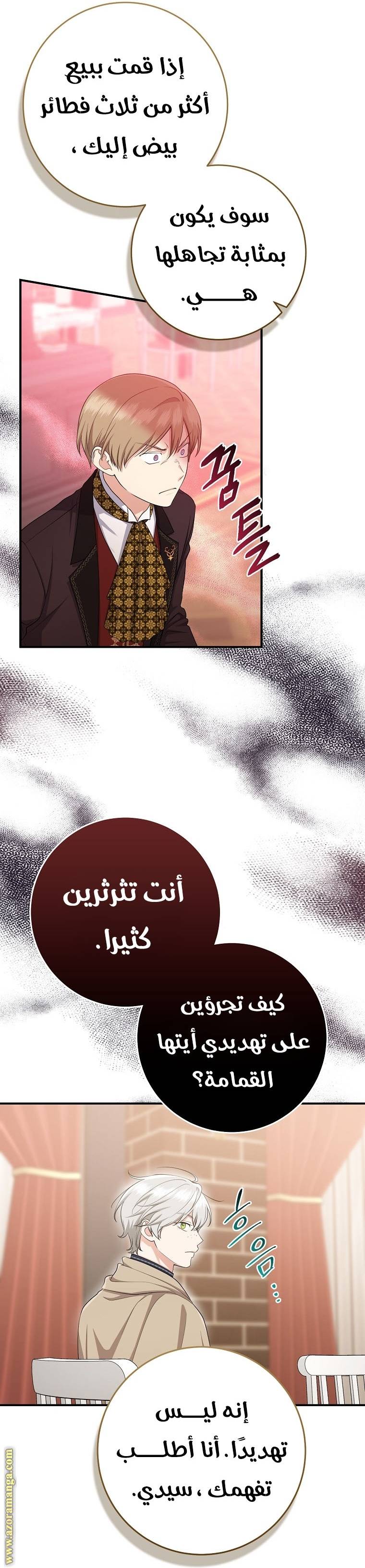 الصفحة 41