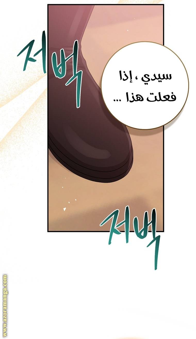 الصفحة 43