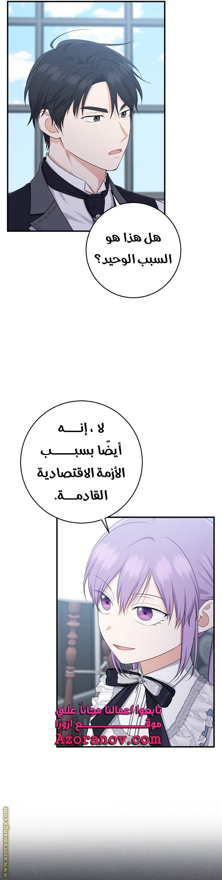 الصفحة 29