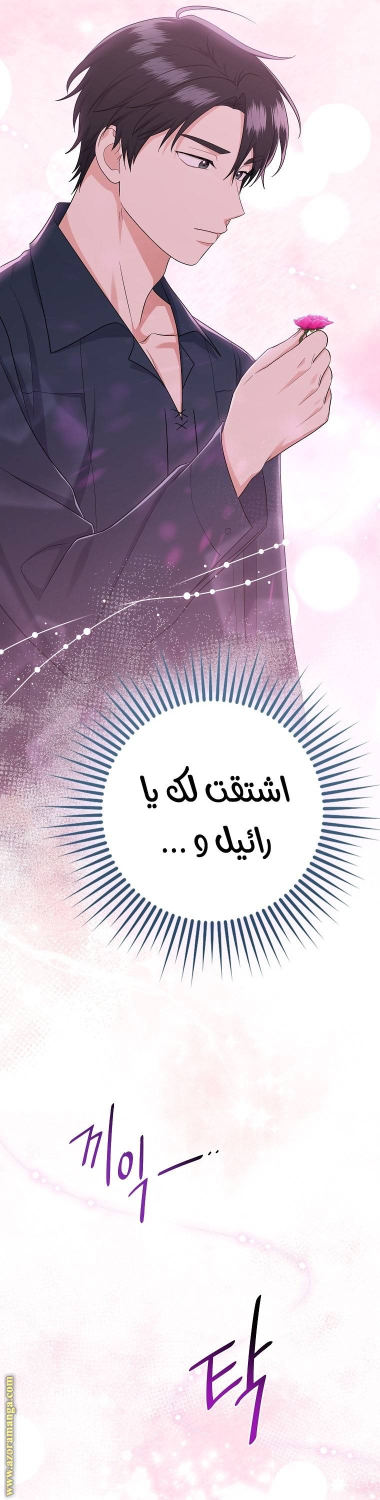 الصفحة 41