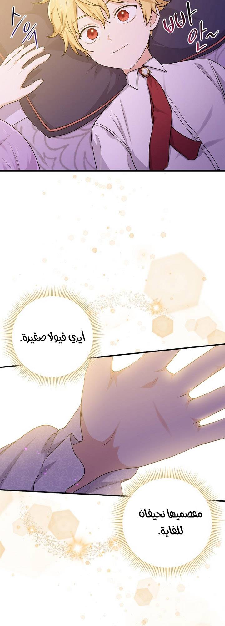 الصفحة 20