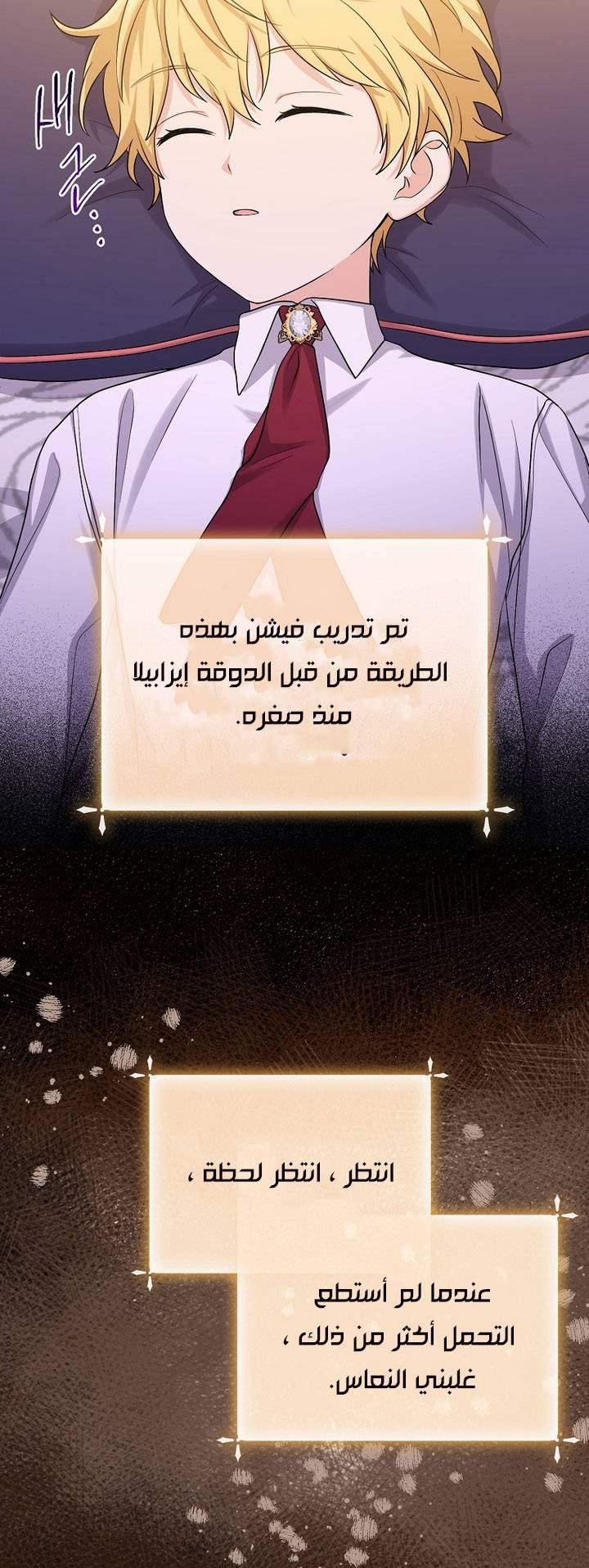 الصفحة 29