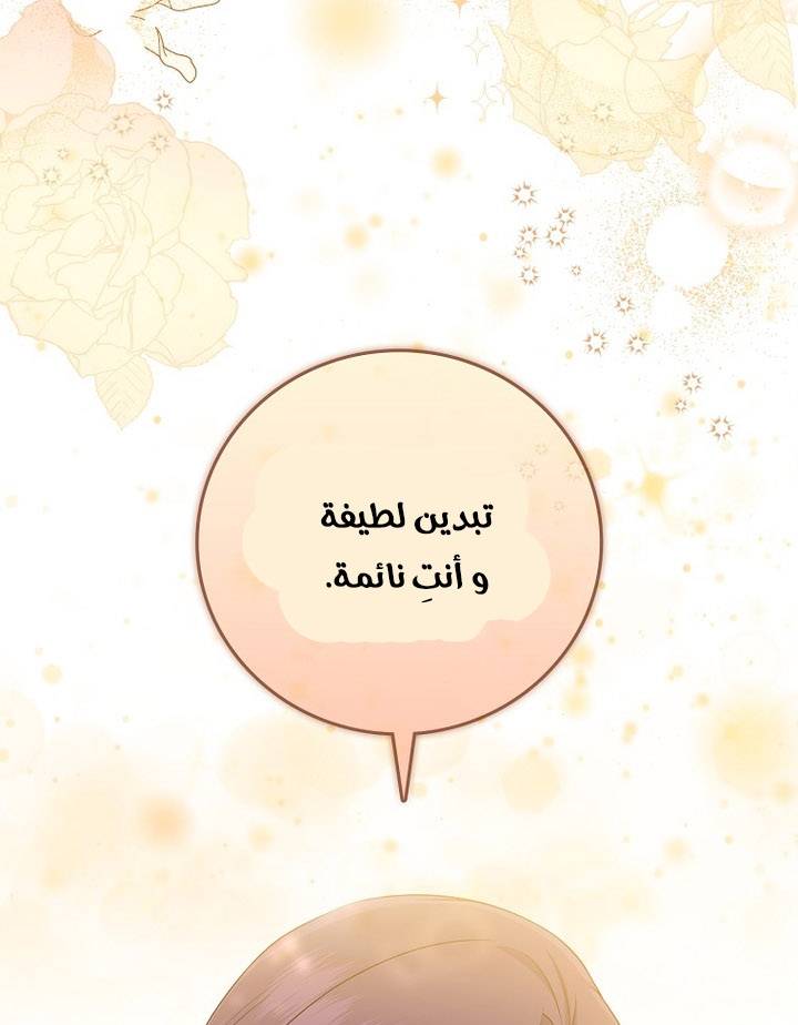 الصفحة 53