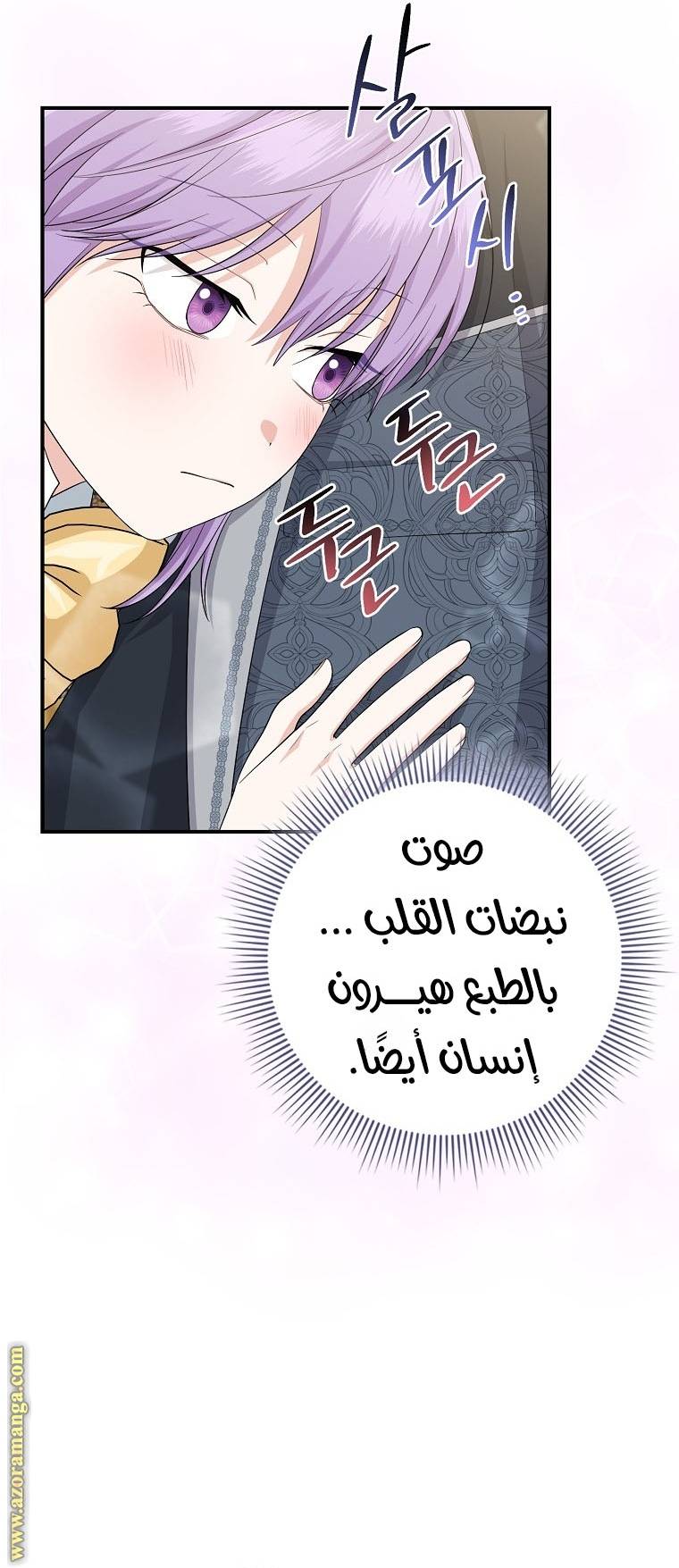الصفحة 19