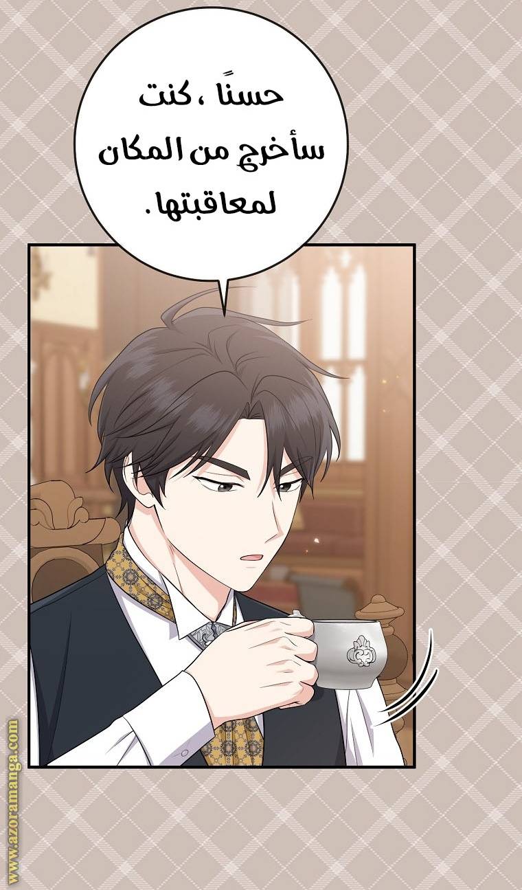 الصفحة 29
