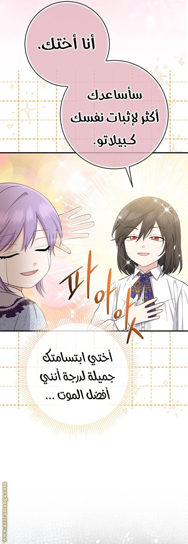 الصفحة 41