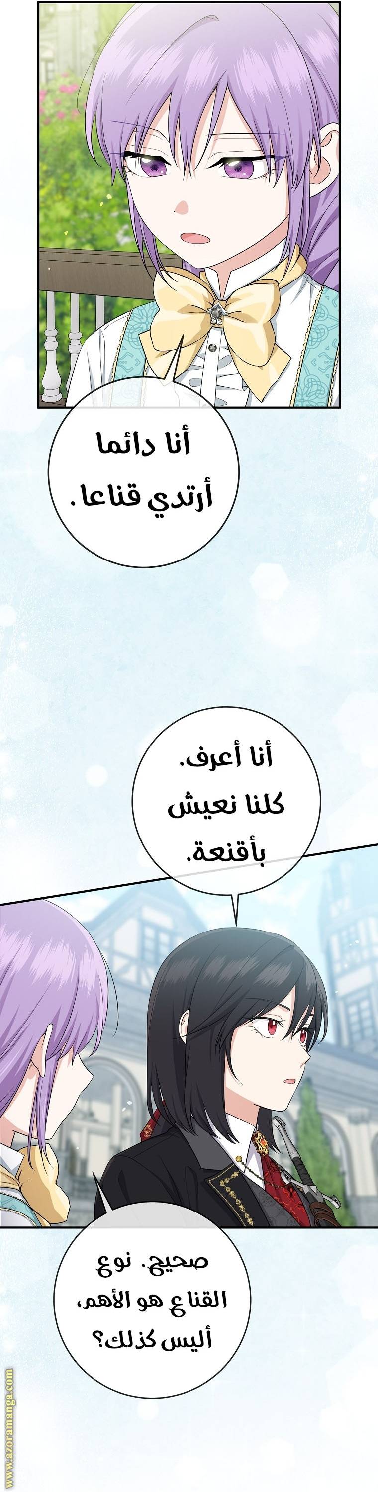 الصفحة 27
