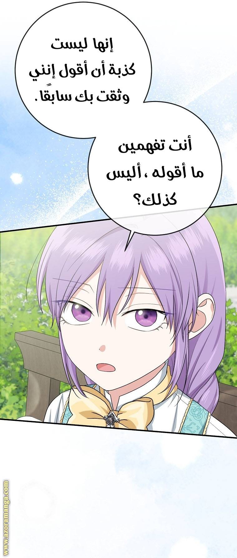 الصفحة 29