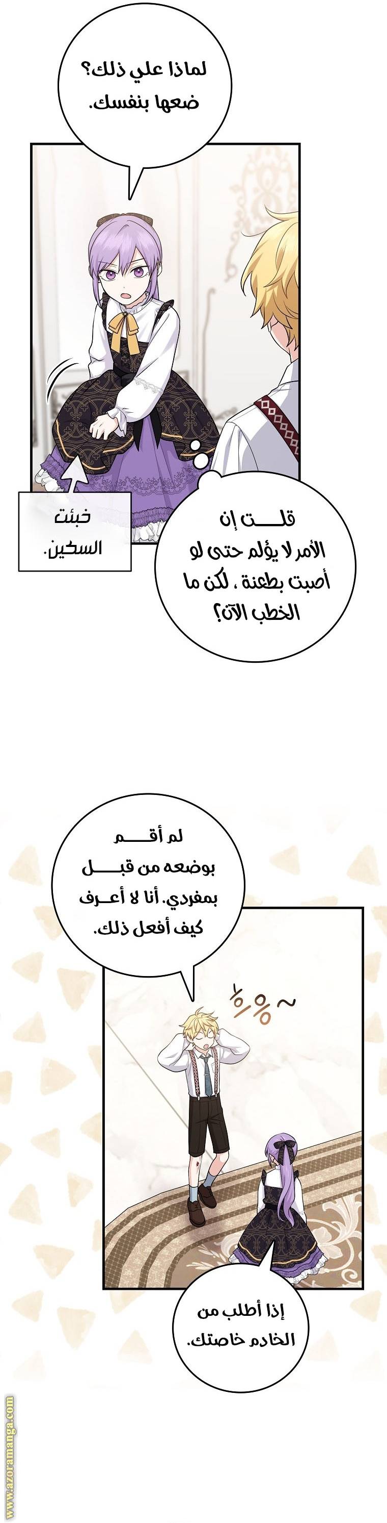 الصفحة 25