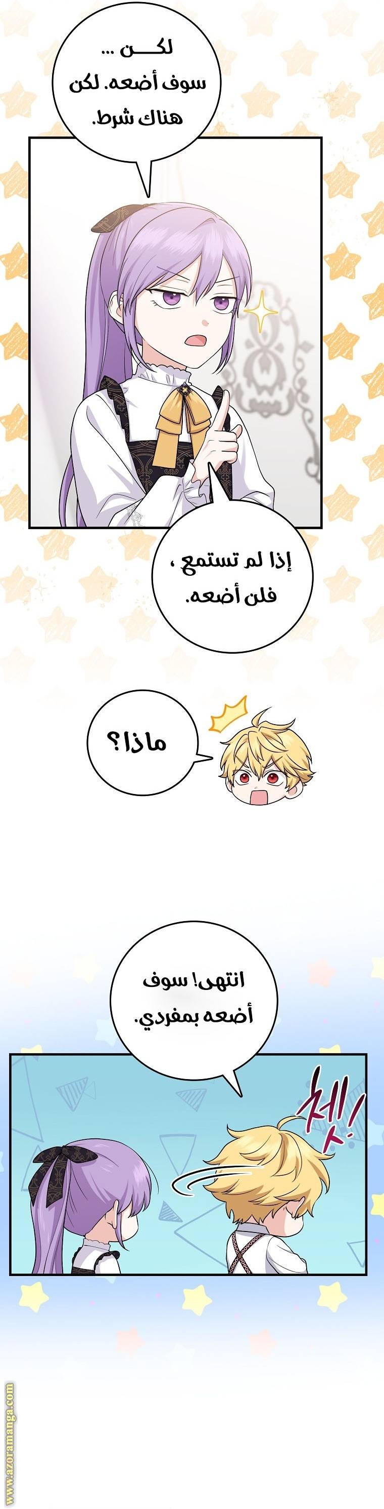 الصفحة 27