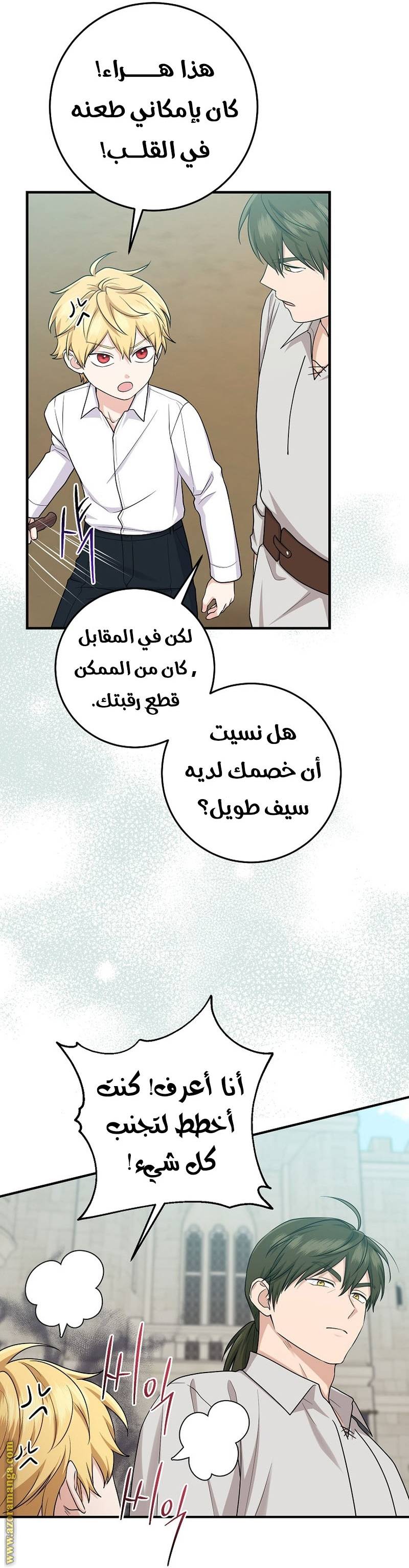 الصفحة 25