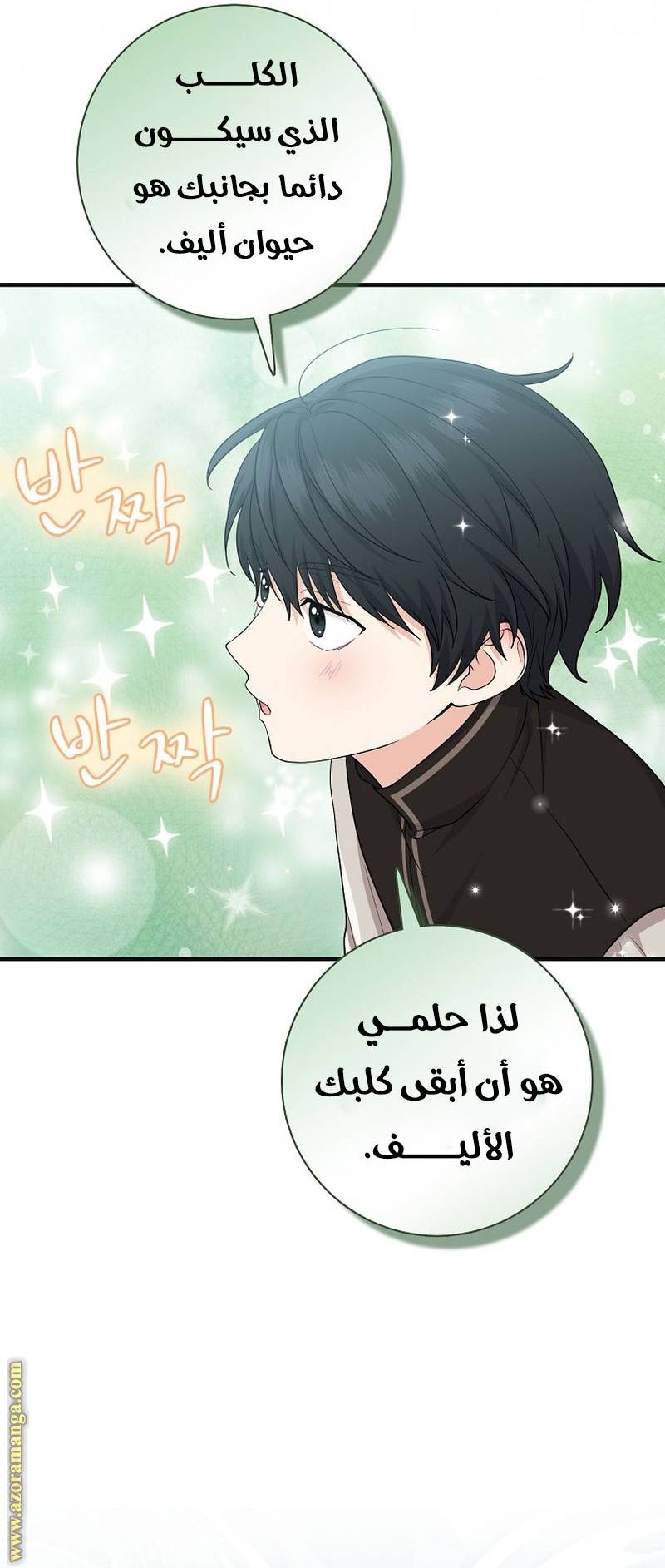 الصفحة 35