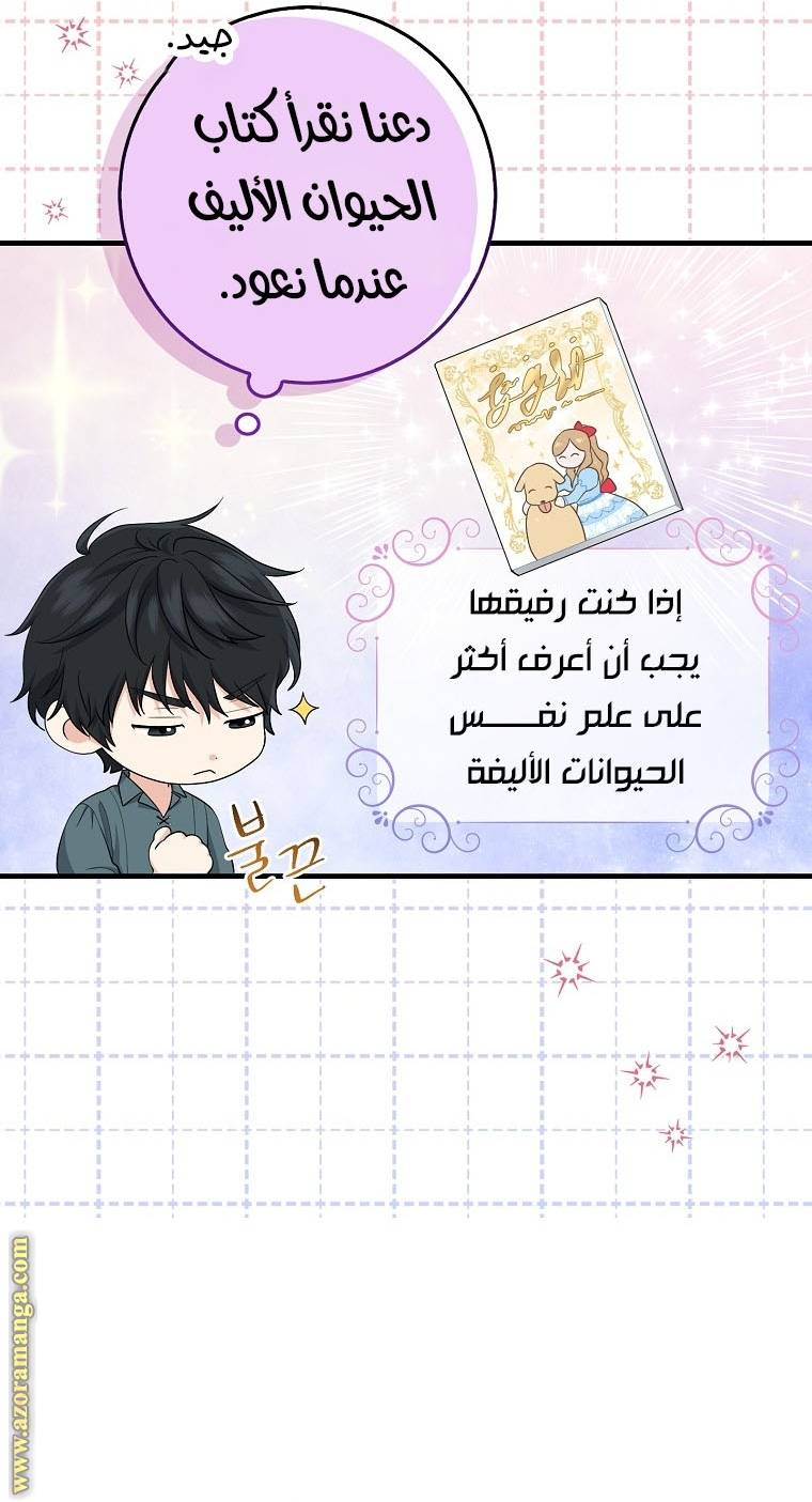 الصفحة 25