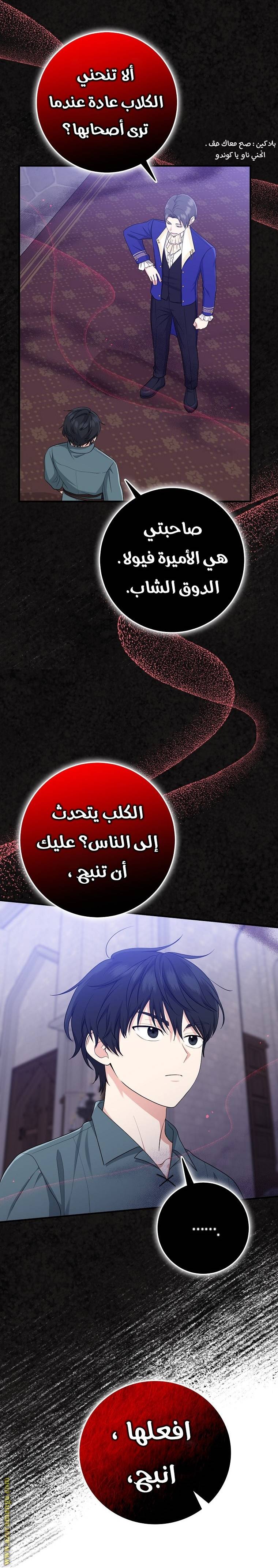 الصفحة 28