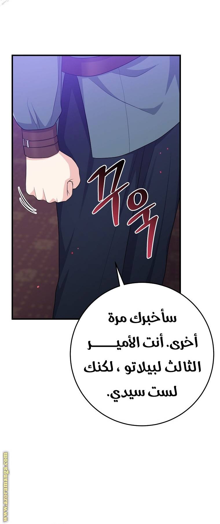الصفحة 29