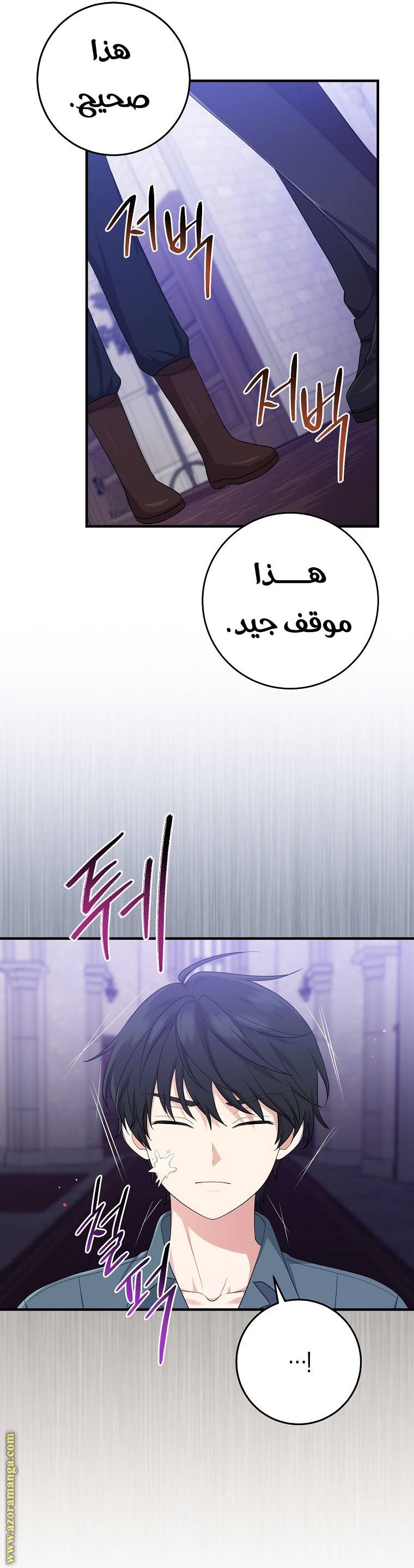 الصفحة 30
