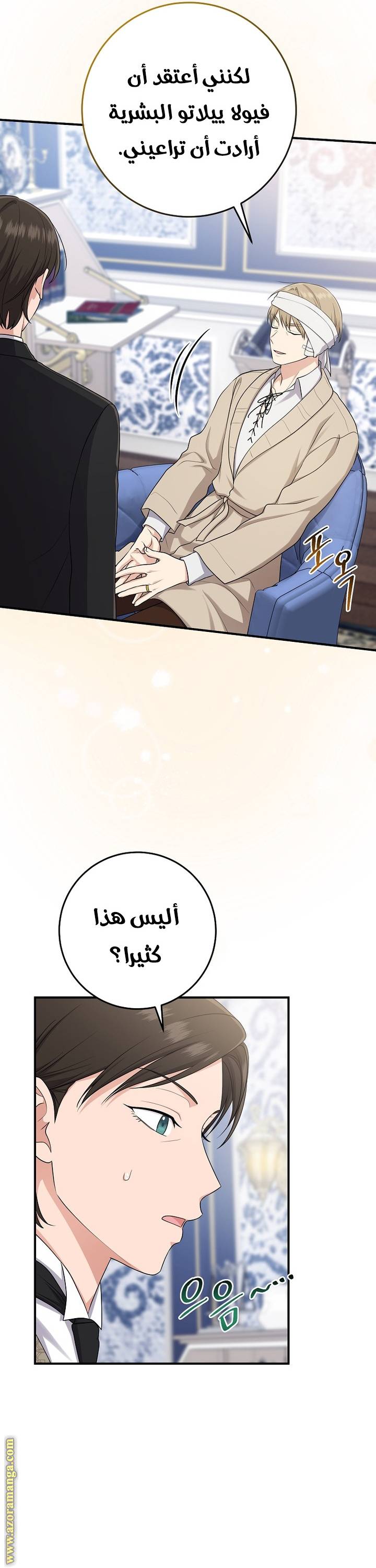 الصفحة 11