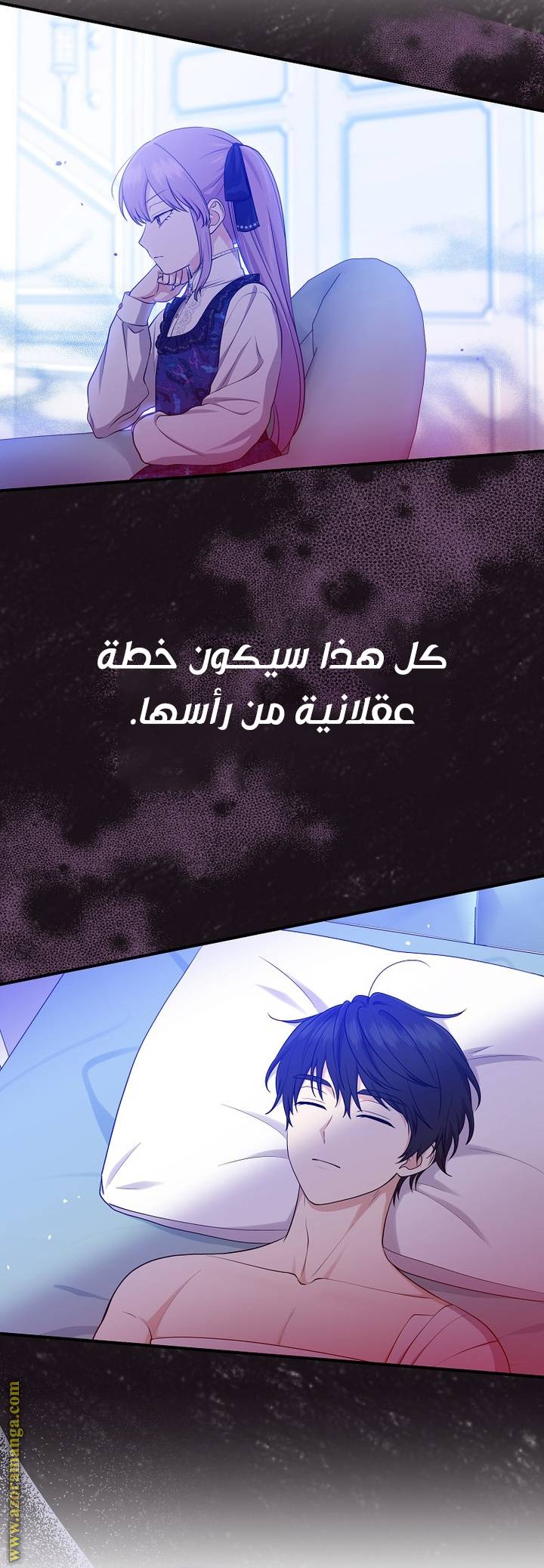 الصفحة 13
