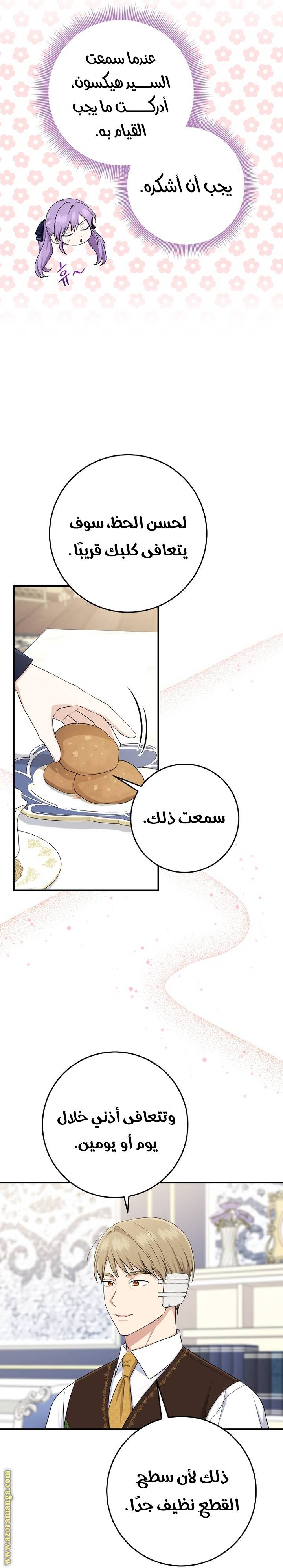 الصفحة 18