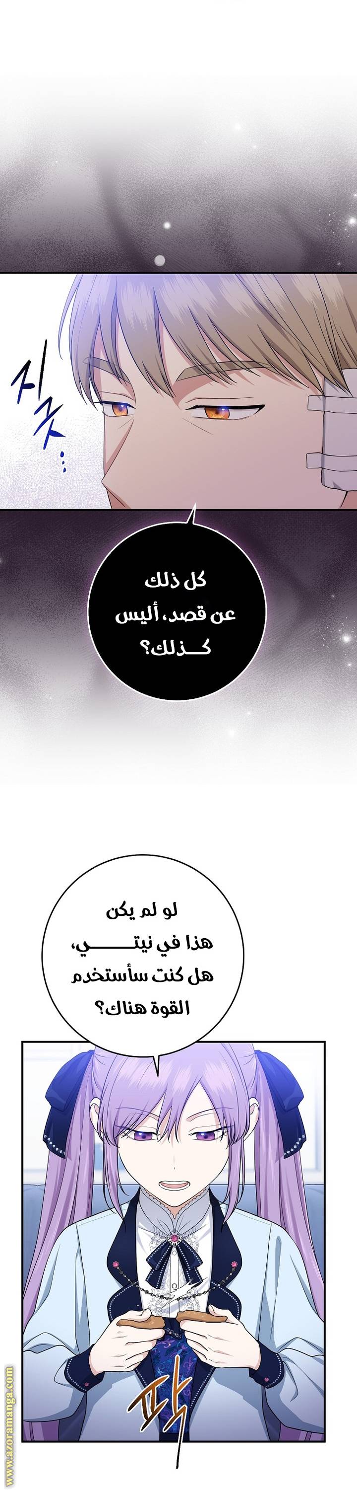الصفحة 19