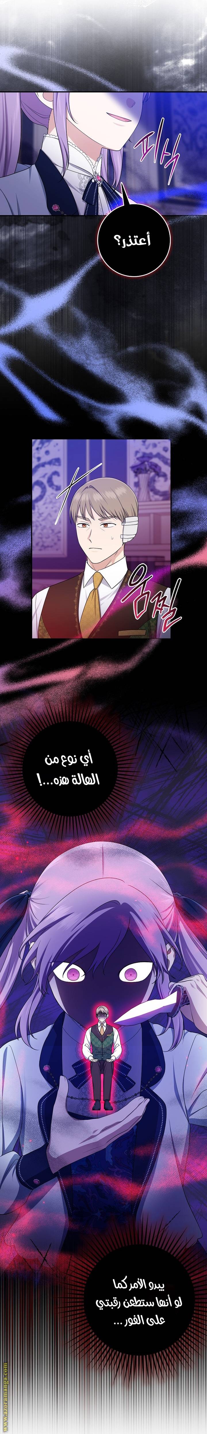 الصفحة 21
