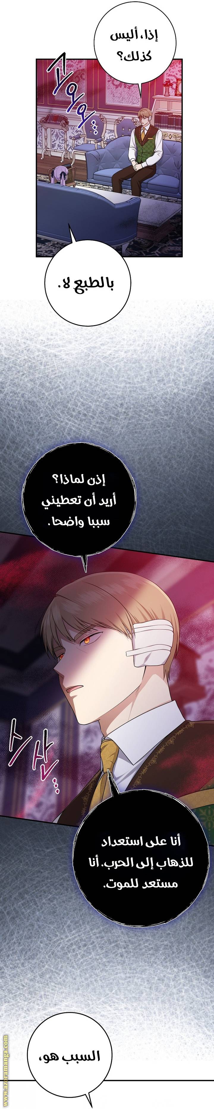 الصفحة 26
