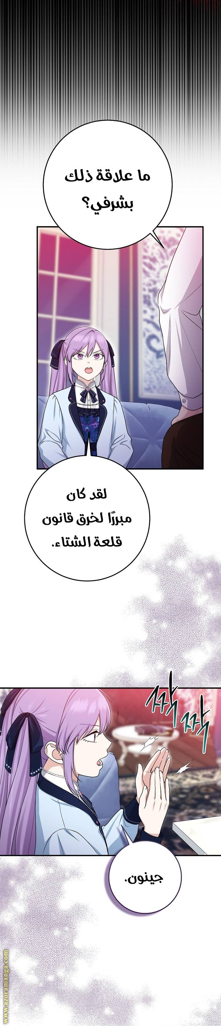 الصفحة 29