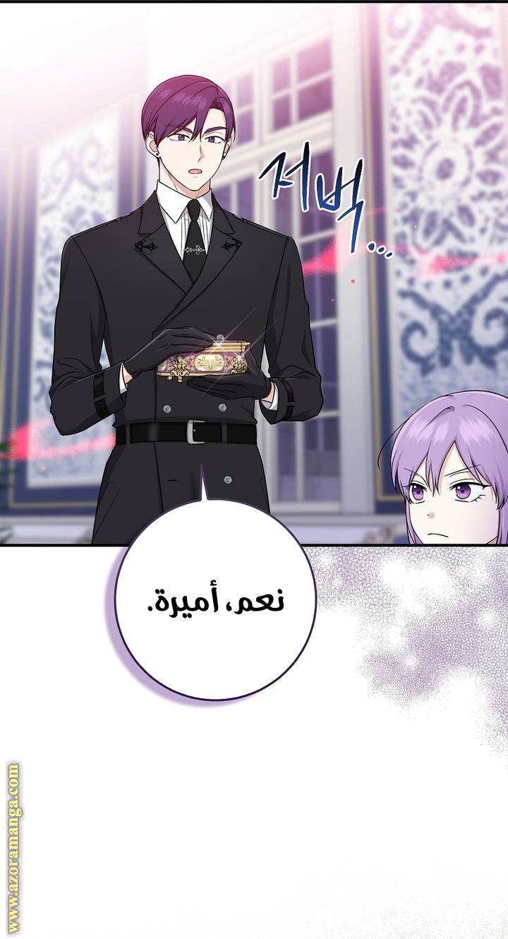 الصفحة 30