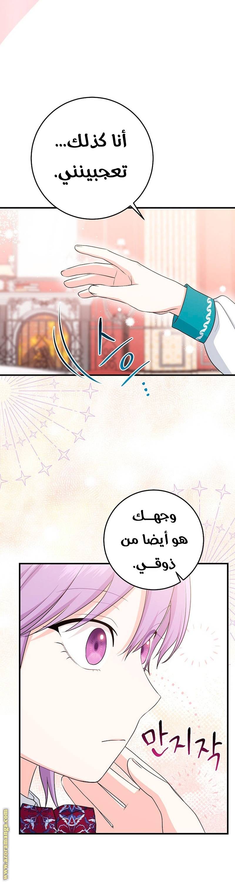 الصفحة 25