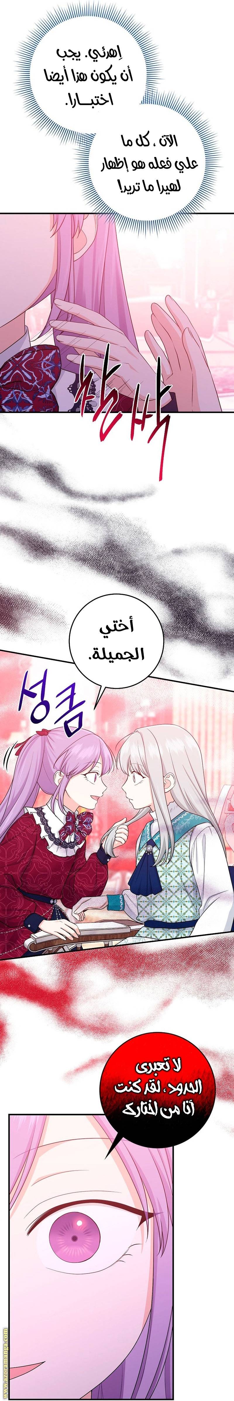 الصفحة 27