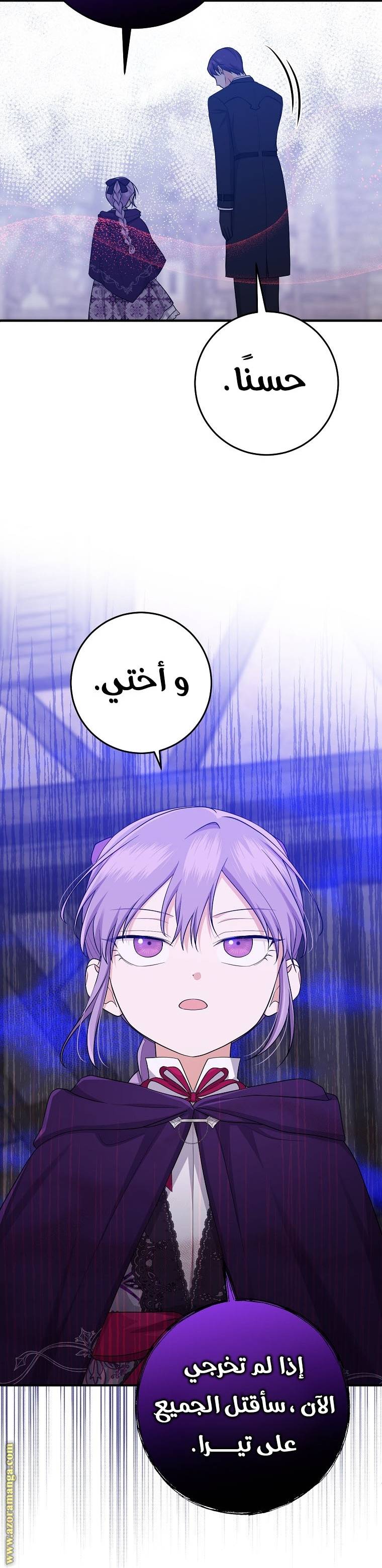 الصفحة 26