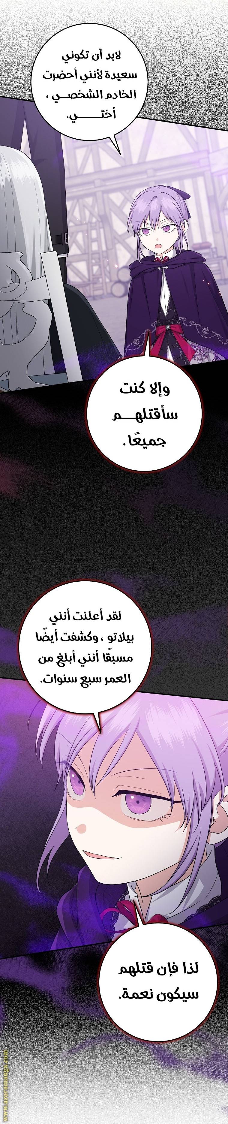 الصفحة 29