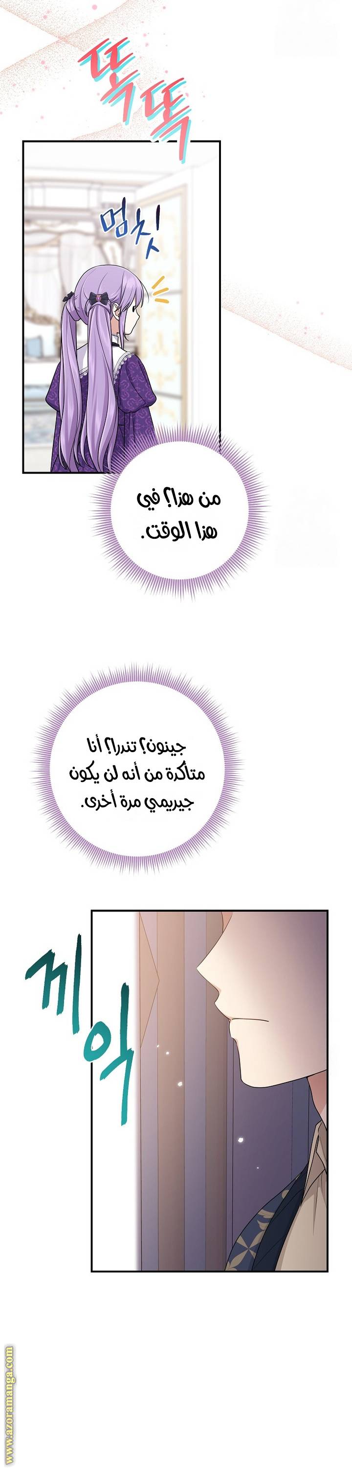 الصفحة 17