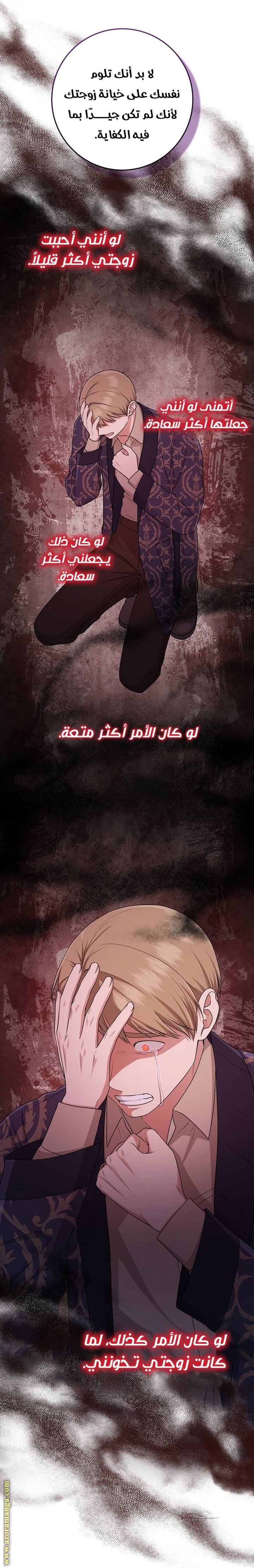 الصفحة 26