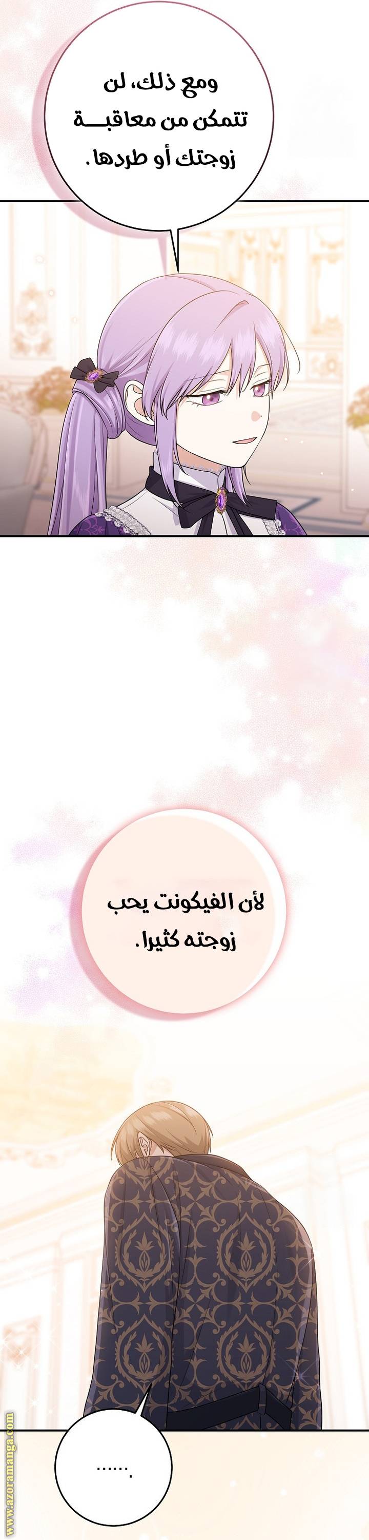 الصفحة 29