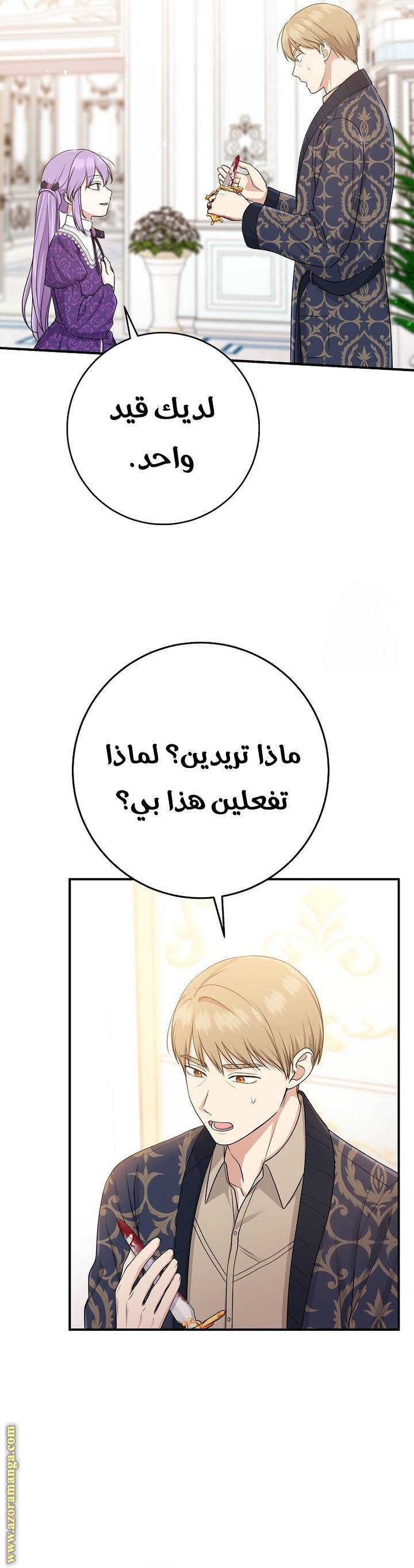 الصفحة 38