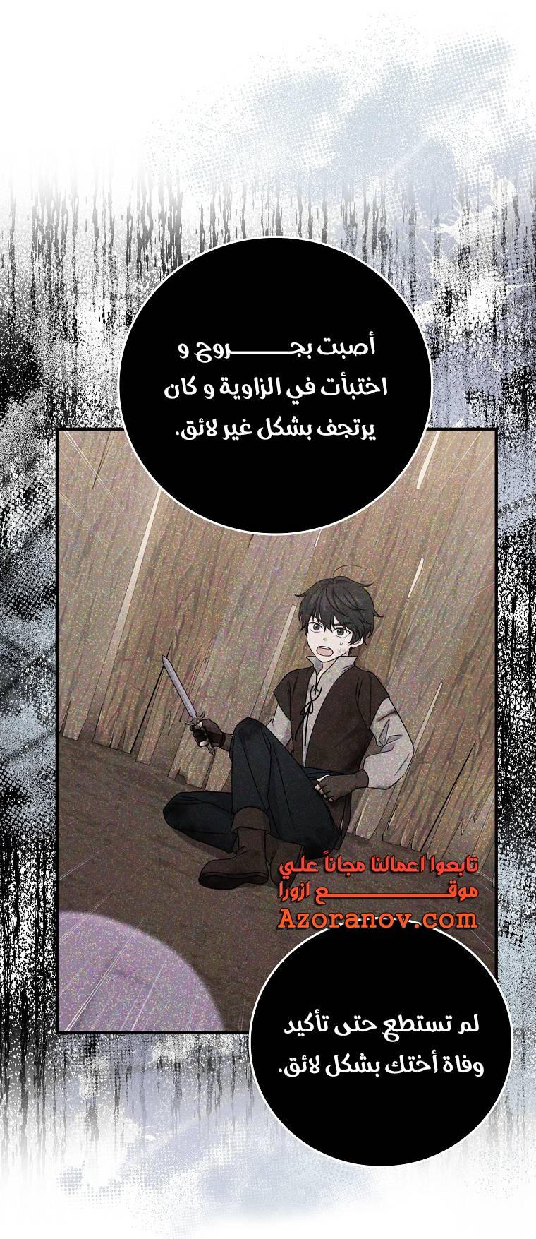 الصفحة 13