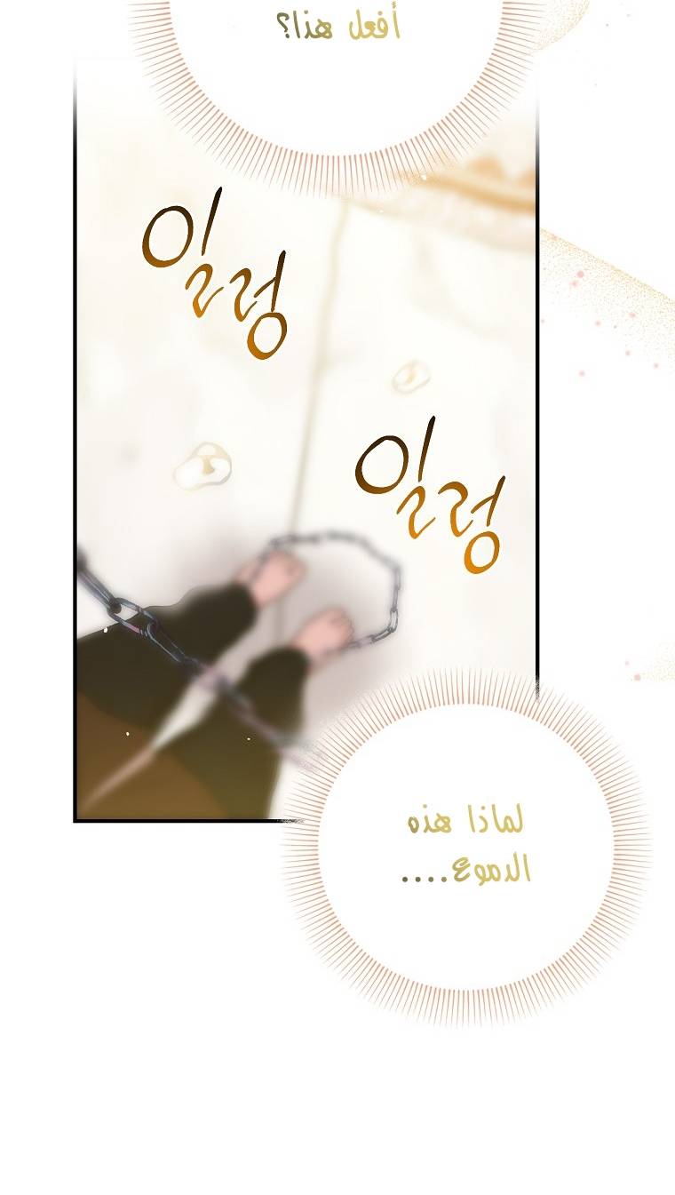 الصفحة 21