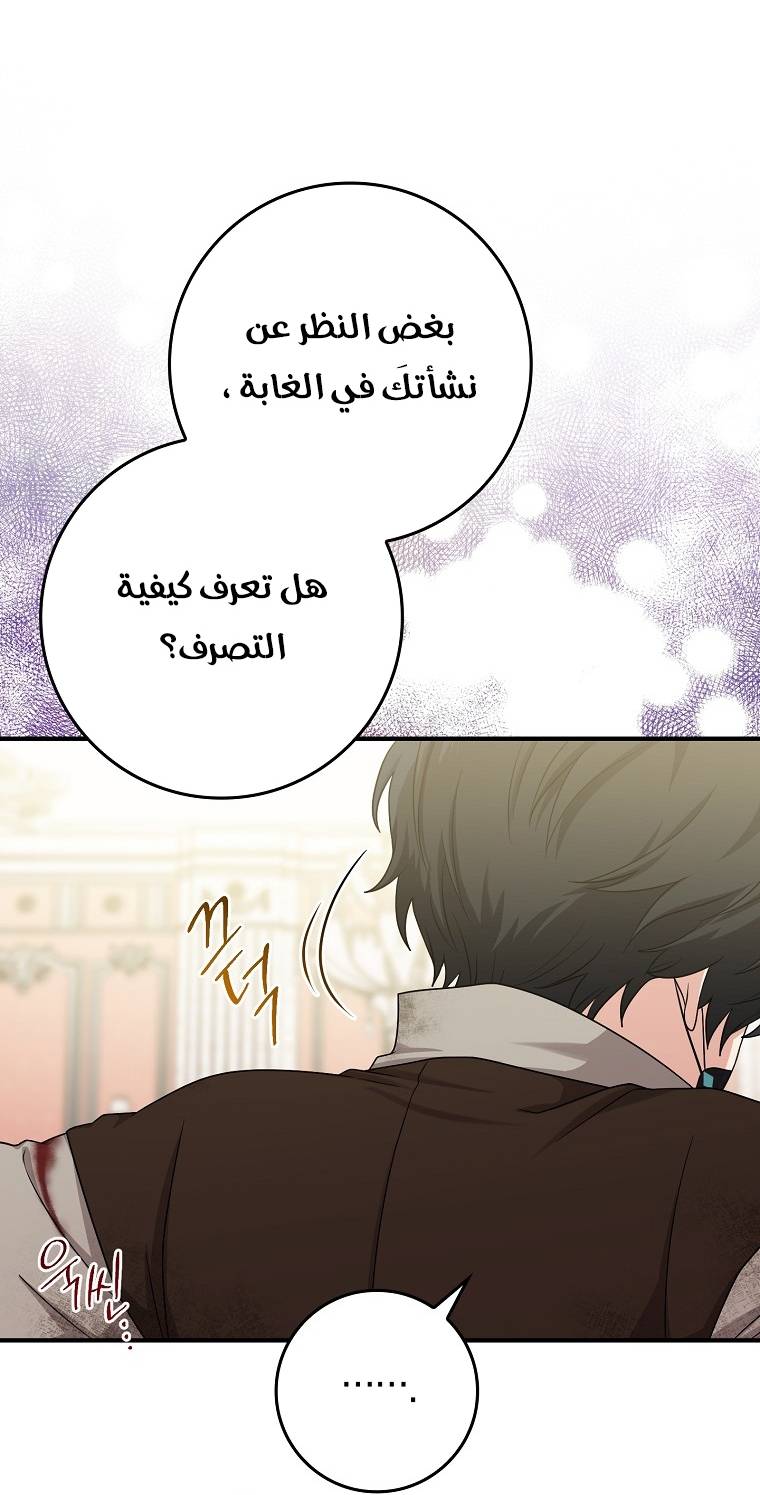 الصفحة 23