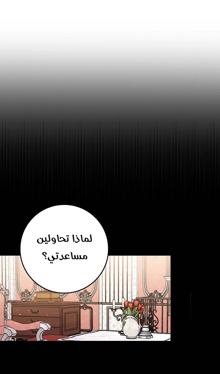الصفحة 28