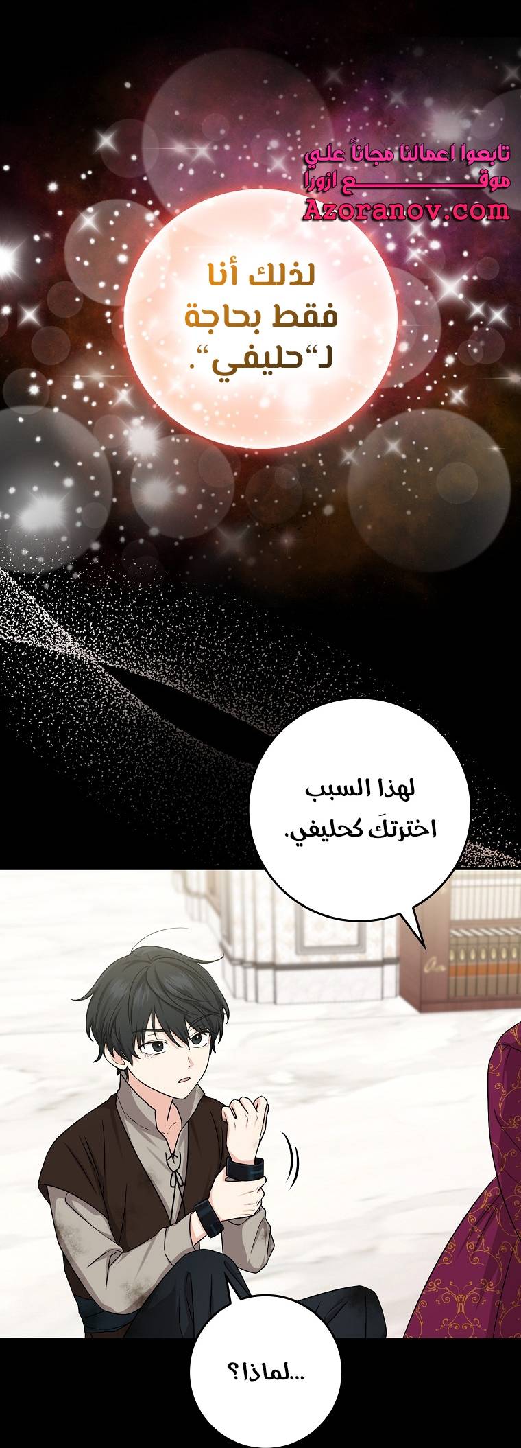 الصفحة 30