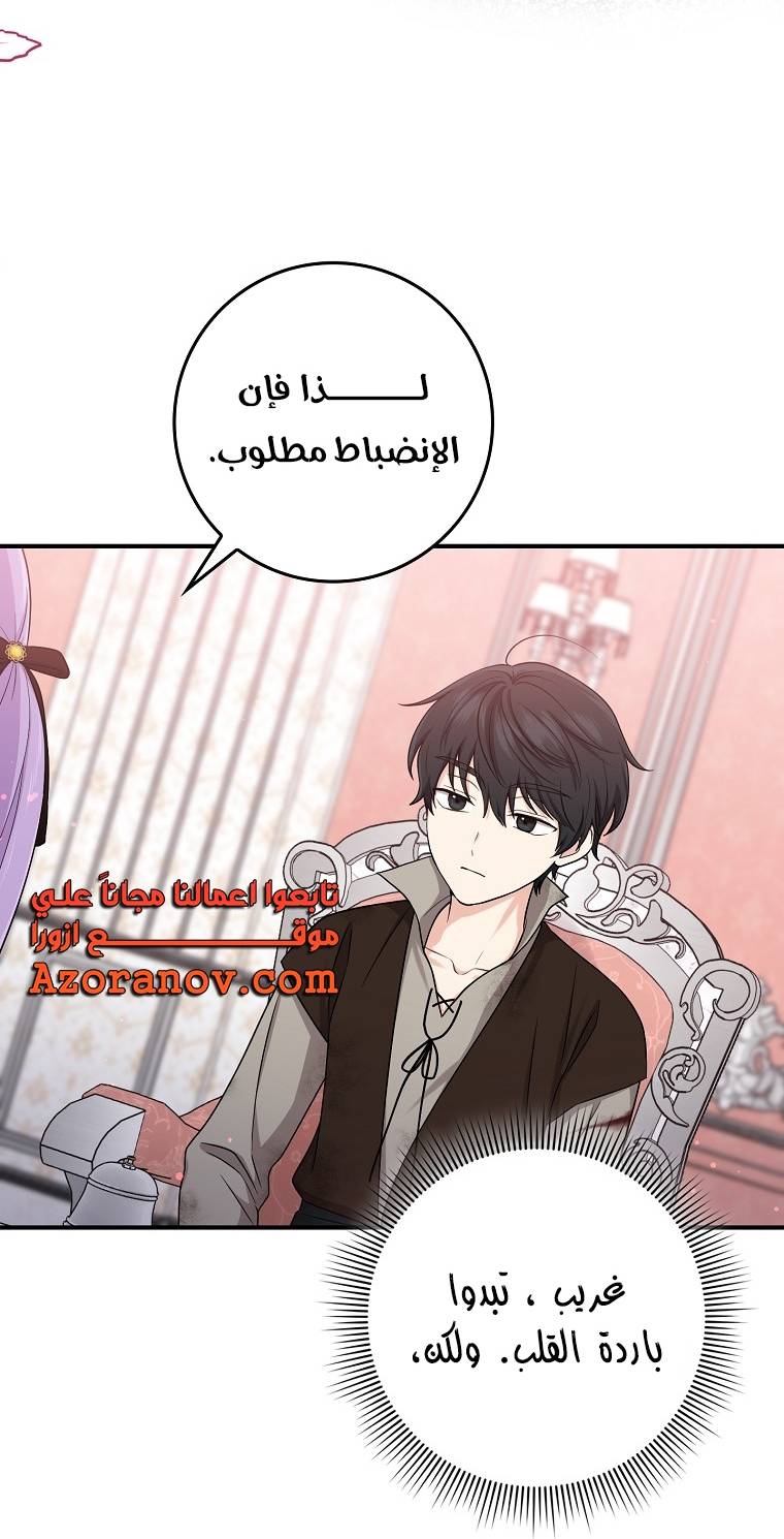الصفحة 41