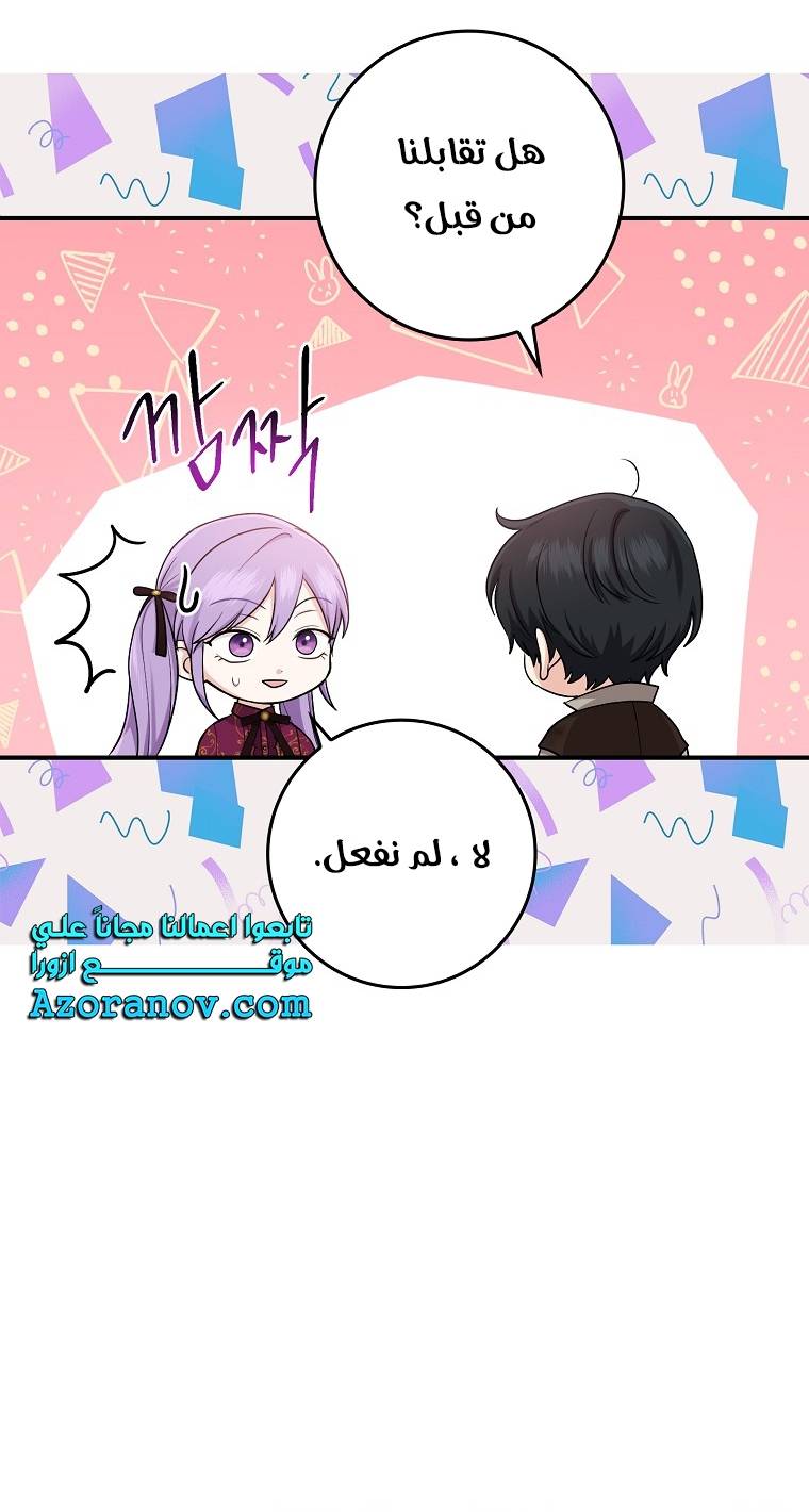الصفحة 45