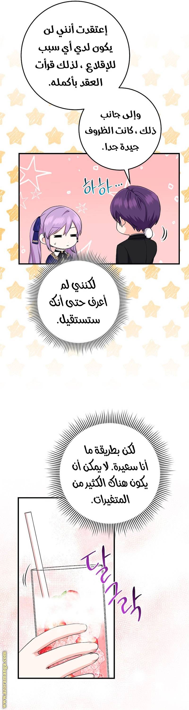 الصفحة 17
