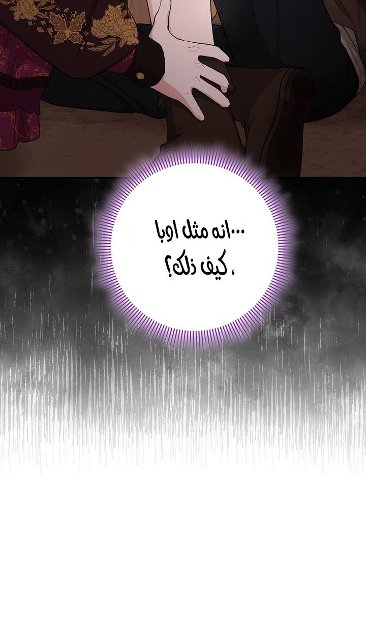 الصفحة 29