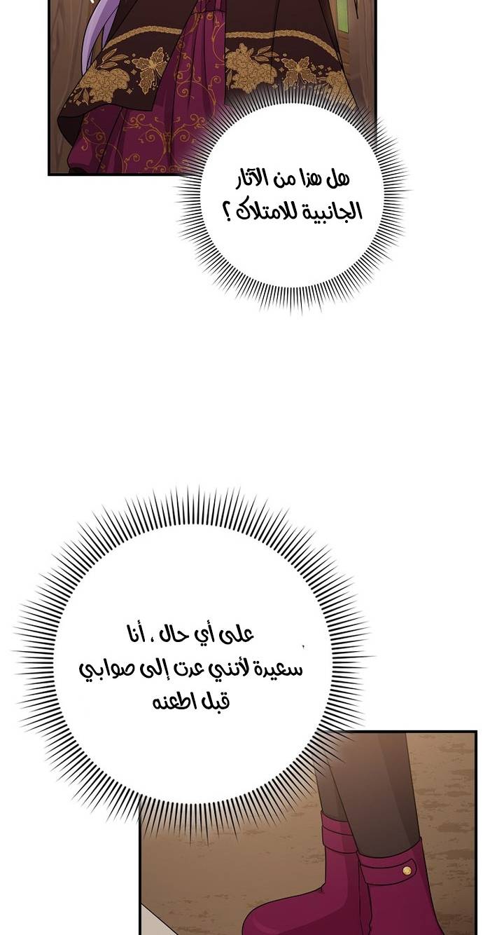 الصفحة 63
