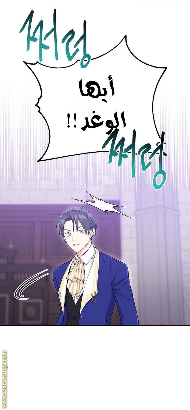 الصفحة 19