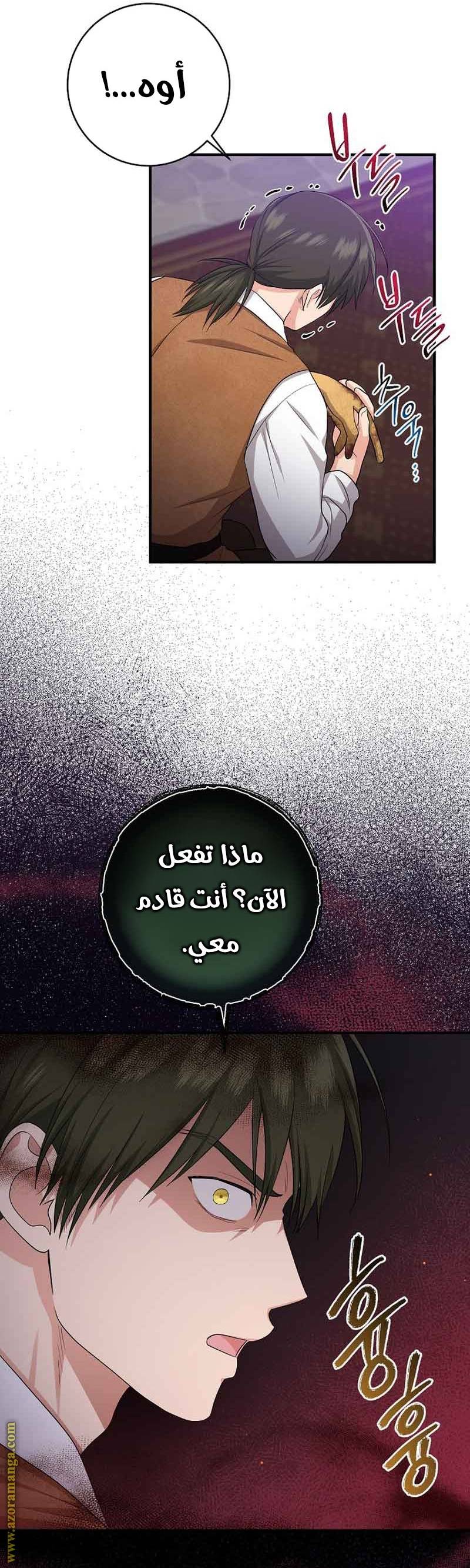 الصفحة 21