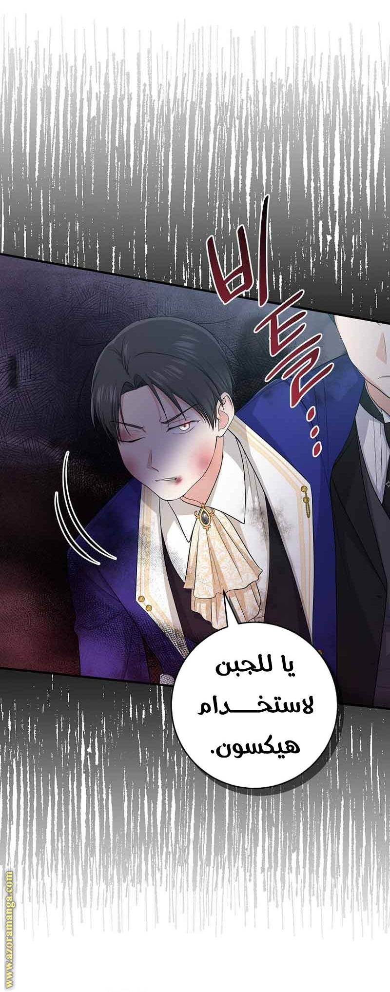 الصفحة 24