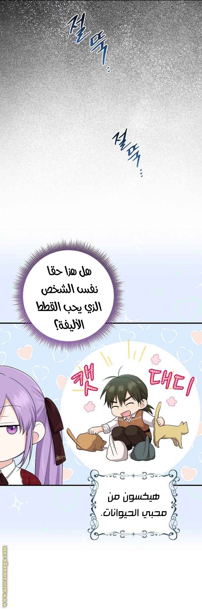 الصفحة 26